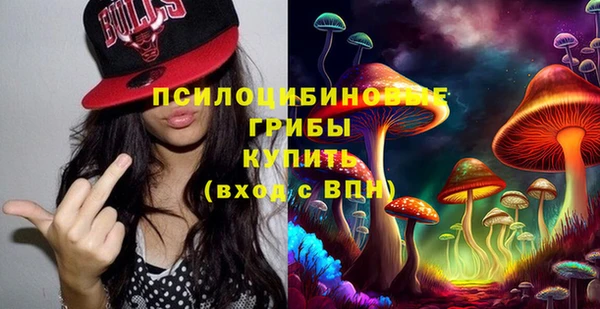 mdma Бородино