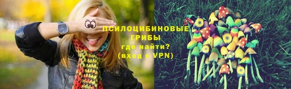 mdma Бородино